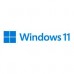 MICROSOFT OEM WINDOWS 11 PROFESIONAL 64 BITS ESPAÑOL LATAM 1 PK DSP DVD SUST WIN 10 PRO, - Garantía: SG -