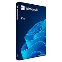 KIT DE LEGALIZACION GGK WINDOWS 11 PROFESIONAL 64 BITS ESPAÑOL LAT 1PK DSP DVD, - Garantía: SG -