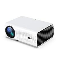PROYECTOR VANKYO LEISURE 495W, - Garantía: SG -