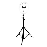 ARO DE LUZ 10 PARA STREAMING LUMERIA, BASE EXPANDIBLE Y TRIPIE HASTA 1.60MTS. PERFECT CHOICE, - Garantía: 1 AÑO -