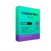 KASPERSKY PLUS 10 DISP 1 AñO (FISICA), - Garantía: SG -