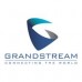 POLIZA HORAS DE CONFIGURACIN REMOTA // GRANDSTREAM C1CB00001432, - Garantía: SG -